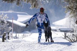 Lenk 2013